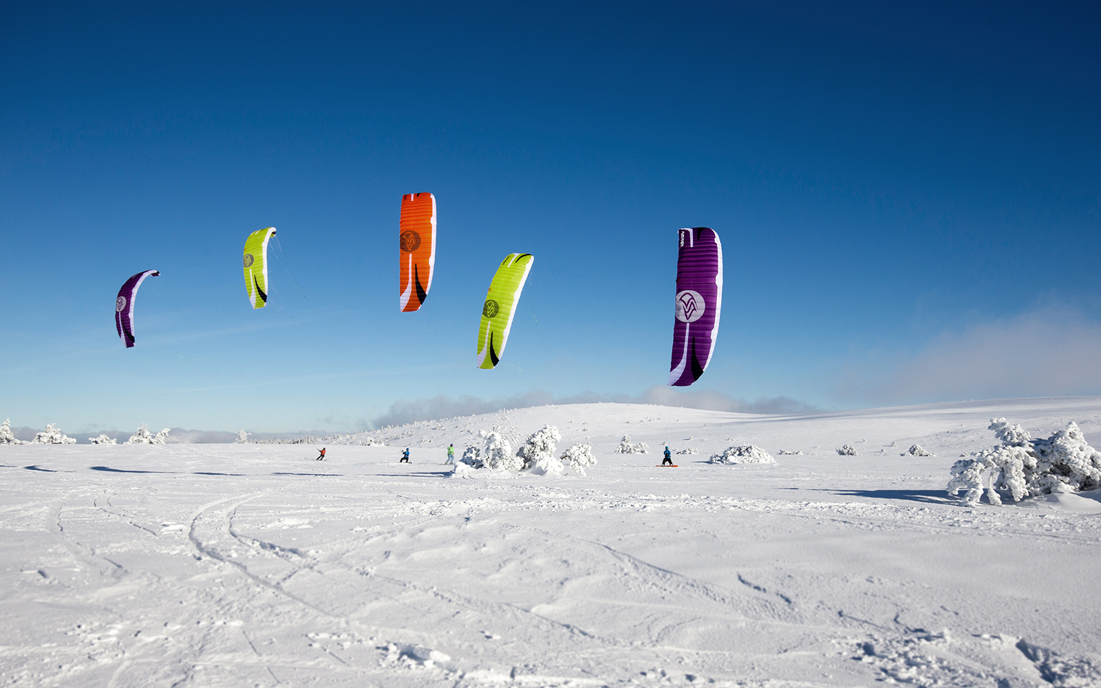 SPEED5 Snow four Kites Race