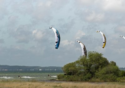 Speed3. Four Kites, Water, Land